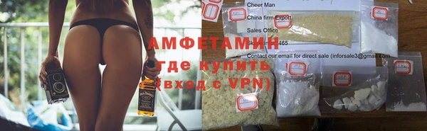 прущие грибы Горняк