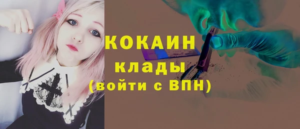 прущие грибы Горняк