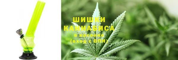 прущие грибы Горняк