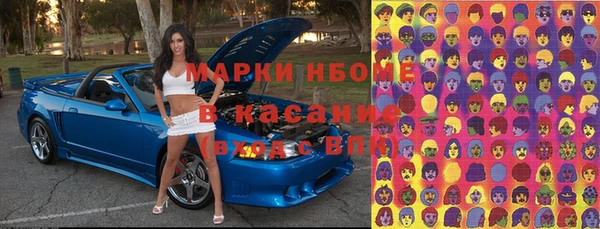 прущие грибы Горняк