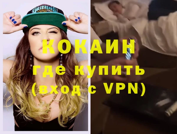 прущие грибы Горняк