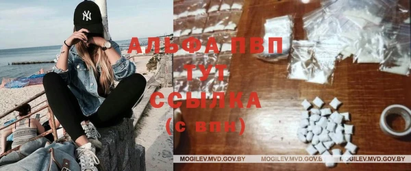 прущие грибы Горняк