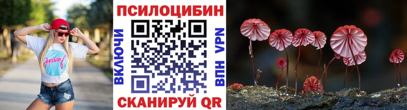 Псилоцибиновые грибы ЛСД  Купить  Каменск-Шахтинский 